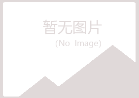 长治治城雪旋化学有限公司